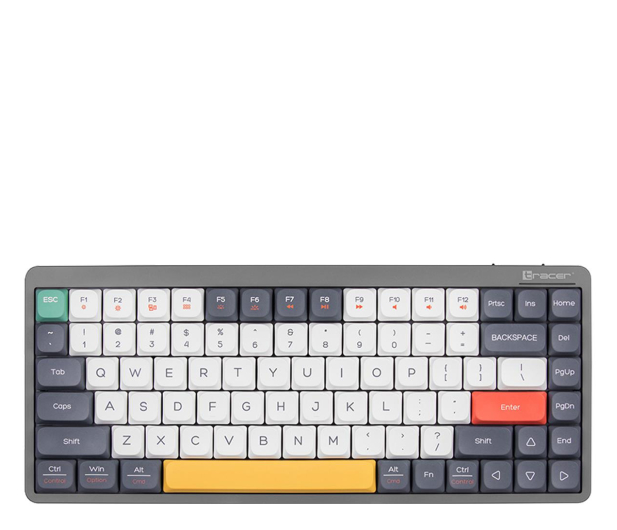 TRACER FINA 84 Grey - 1235810 - zdjęcie 6
